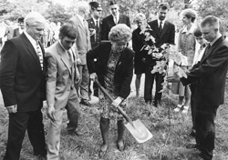 P3.JPG (31106 BYTES)