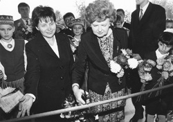 P9.JPG (27303 BYTES)