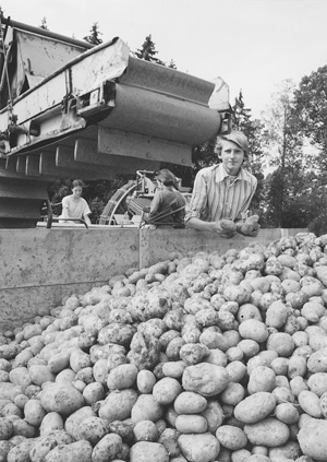 F2.JPG (67298 BYTES)