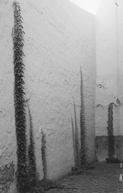 M4.JPG (37049 BYTES)