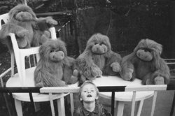 M5.JPG (22854 BYTES)