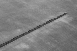 MIH4.JPG (9319 BYTES)