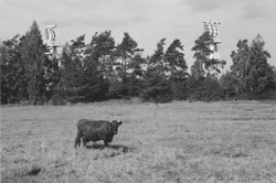 M5.JPG (21649 BYTES)