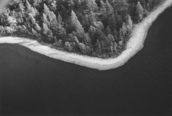 MI3.JPG (15952 BYTES)