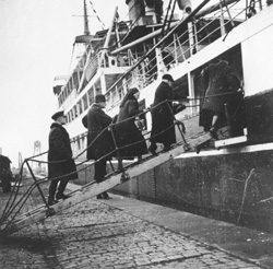 TRAPS.JPG (36818 BYTES)