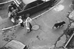 MI2.JPG (23351 BYTES)