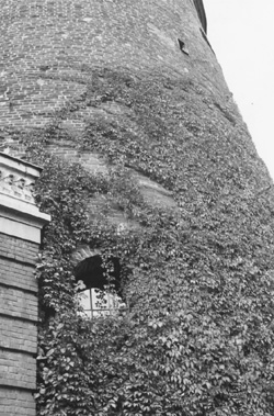 MI4.JPG (61235 BYTES)