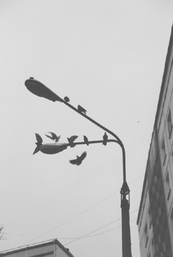 MI1.JPG (19348 BYTES)