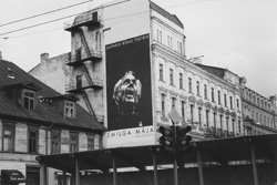 VI1.JPG (22249 BYTES)