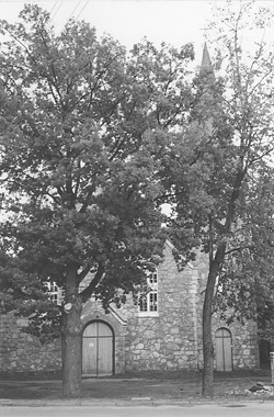 SP10.JPG (58424 BYTES)