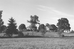 SP16.JPG (19674 BYTES)