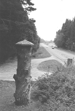 SP17.JPG (41006 BYTES)