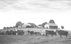 SP18.JPG (14908 BYTES)