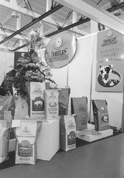 R6.JPG (41386 BYTES)