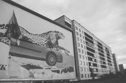 M2.JPG (20065 BYTES)