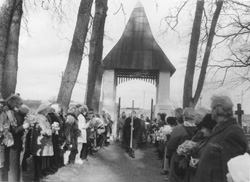 T1.JPG (25150 BYTES)