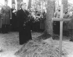 T3.JPG (26142 BYTES)