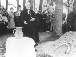 TT.JPG (24406 BYTES)