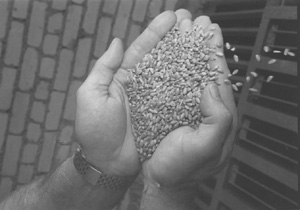 GR.JPG (23144 BYTES)