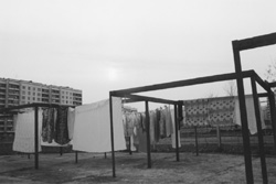 VI5.JPG (15534 BYTES)