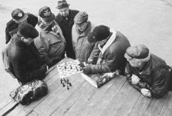 VI7.JPG (23029 BYTES)