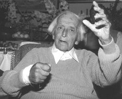 MEDNIS.JPG (25677 BYTES)