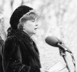 A1.JPG (22580 BYTES)