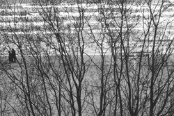 MI1.JPG (34787 BYTES)