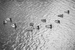 MI6.JPG (26779 BYTES)