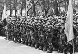 P5.JPG (33200 BYTES)