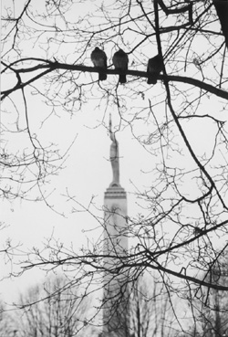 MI4.JPG (56602 BYTES)