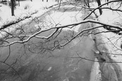 MI6.JPG (26209 BYTES)