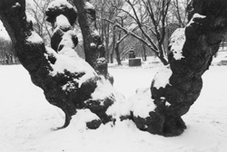 MI7.JPG (24359 BYTES)