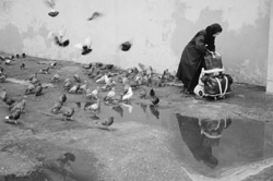 MI4.JPG (20142 BYTES)