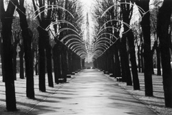 MI7.JPG (26296 BYTES)