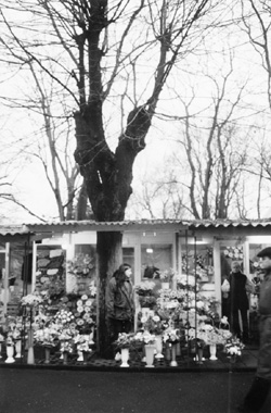 MI4.JPG (54400 BYTES)