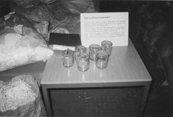 13.JPG (21459 BYTES)