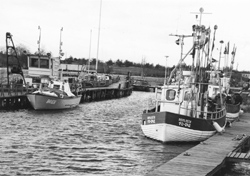 P5.JPG (30325 BYTES)