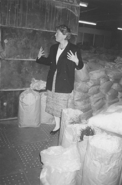 10.JPG (33537 BYTES)