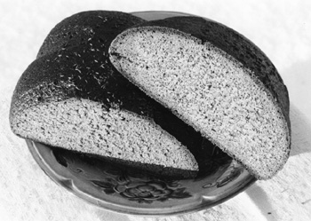 MAIZE.JPG (45679 BYTES)