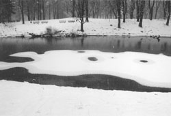 MIH3.JPG (12764 BYTES)