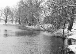 PI10.JPG (28634 BYTES)