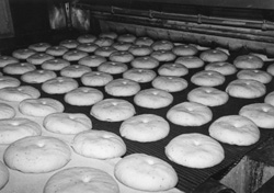 PI2.JPG (24207 BYTES)