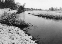 UPE.JPG (24211 BYTES)