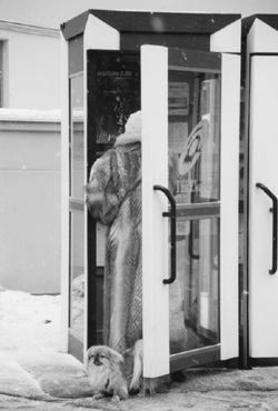 MI9.JPG (33460 BYTES)