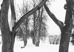 V3.JPG (27148 BYTES)