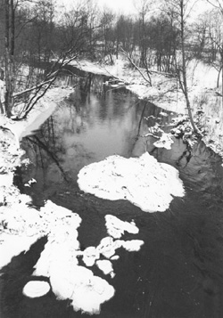 V4.JPG (45661 BYTES)