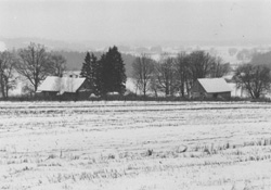 VV1.JPG (19965 BYTES)