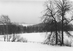 VV2.JPG (21694 BYTES)