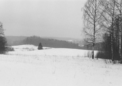 VV6.JPG (14873 BYTES)